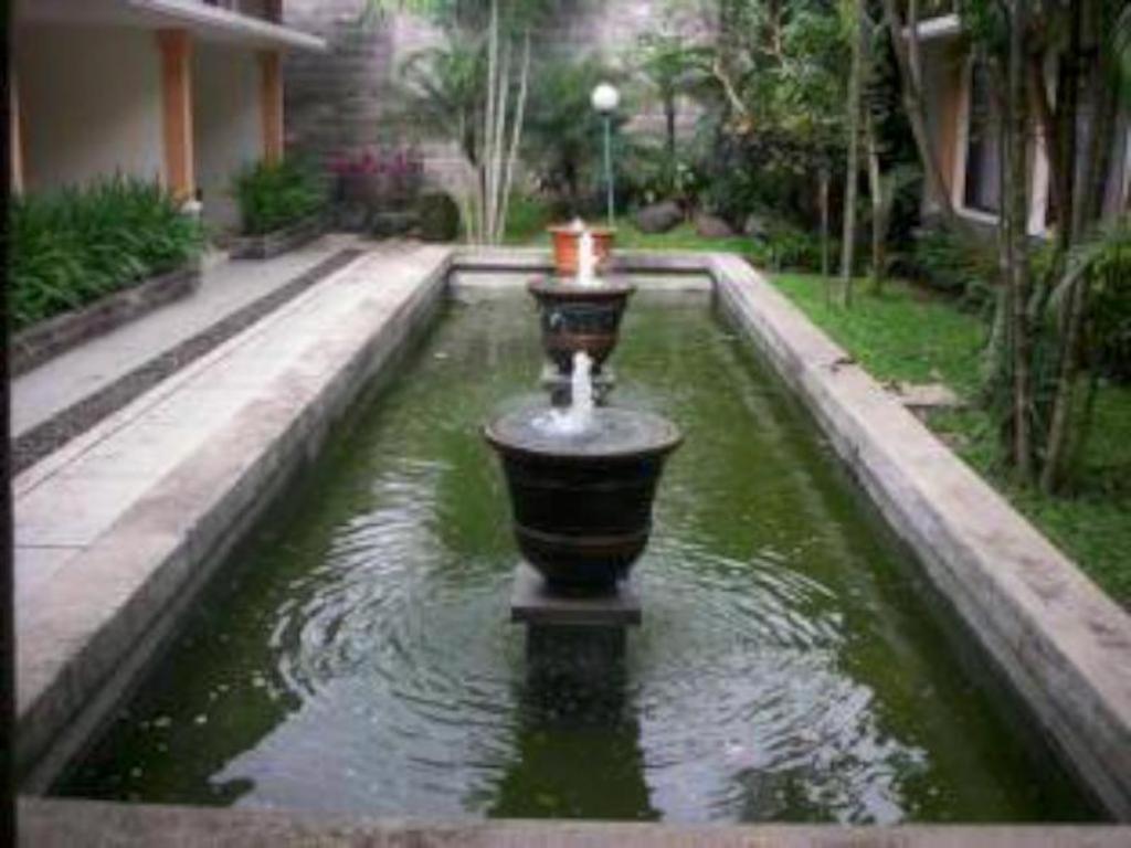 Ijen View Hotel & Resort Bondowoso Buitenkant foto